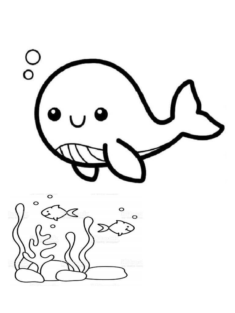 Gambar Ikan Hiu | PDF