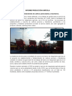 Informe Producción Agrícola Establecimiento y Fortalecimiento de Cultivos Permanentes y Transitorios