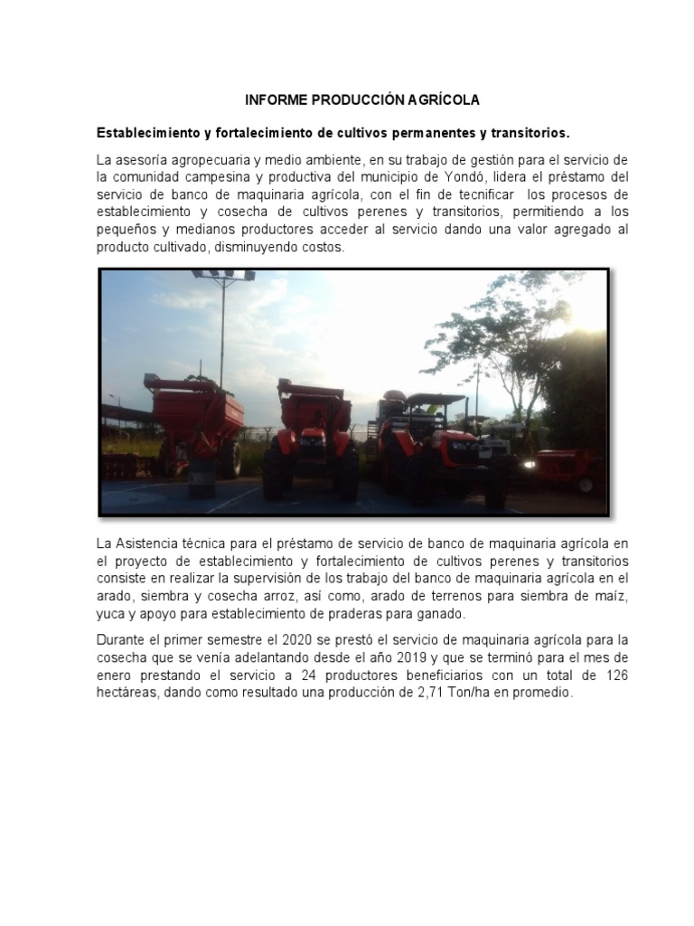 informe-producci-n-agr-cola-establecimiento-y-fortalecimiento-de