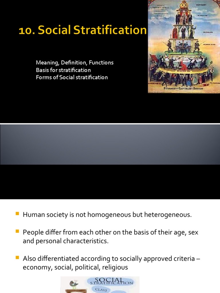 Meaning definition functions basis for stratification forms of social
