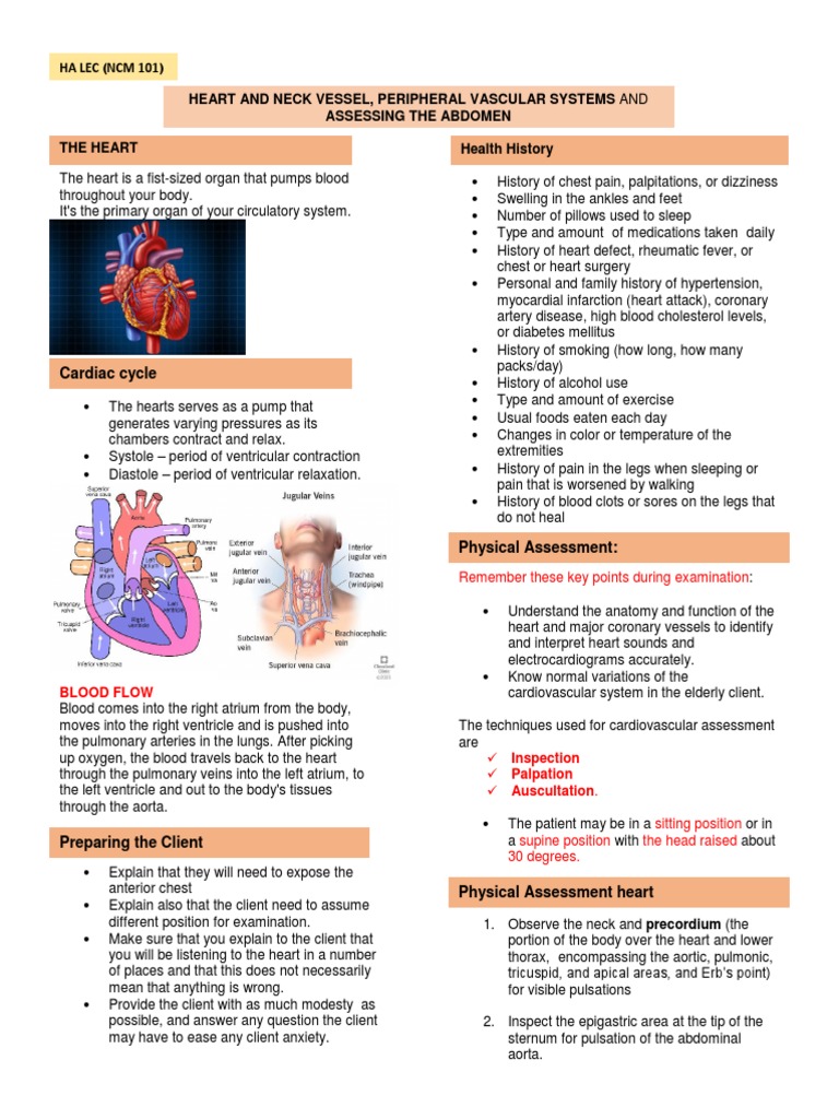 finals-ha-lec-heart-and-neck-vessel-peripheral-vascular-systems