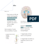 Poli - Neuropatias Periféricas