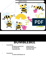 Bumblebee Presentation Final