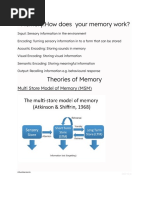 Memory:How Does Your Memory Work?: Multi Store Model of Memory (MSM)