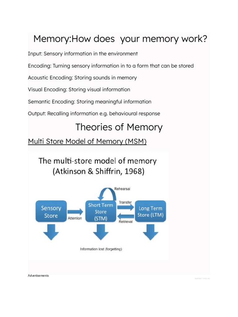 MemoryHow Does Your Memory Work? Multi Store Model of Memory (MSM
