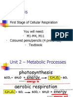 Glycolysis: First Stage of Cellular Respiration You Will Need: M1-M4, M11 Coloured Pens/pencils (4 Preferred) Textbook