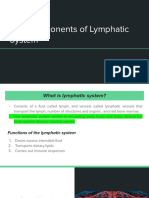 Anatomy Lymphedema