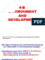 4-B Environment AND Development