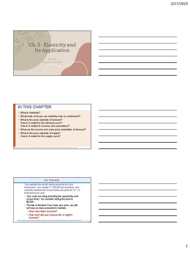Lecture On Ch. 5 Elasticity | PDF | Demand | Elasticity (Economics)