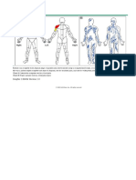 Body Diagram Map