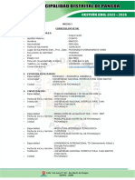 Curriculum Vitae-Formato