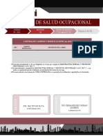 Plan de Salud Ocupacional