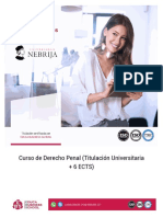 Curso Derecho Penal Online 6 ECTS