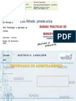 CERTIFICACION DE ADIESTRAMIENTO - BPM, Luis Alfredo. SHADDAY. 02.12.2022