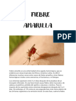 Fiebre Amarilla