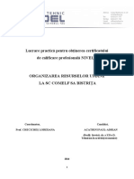 Lucrare Practică Pentru Obţinerea Certificatului de Calificare Profesională NIVEL 4