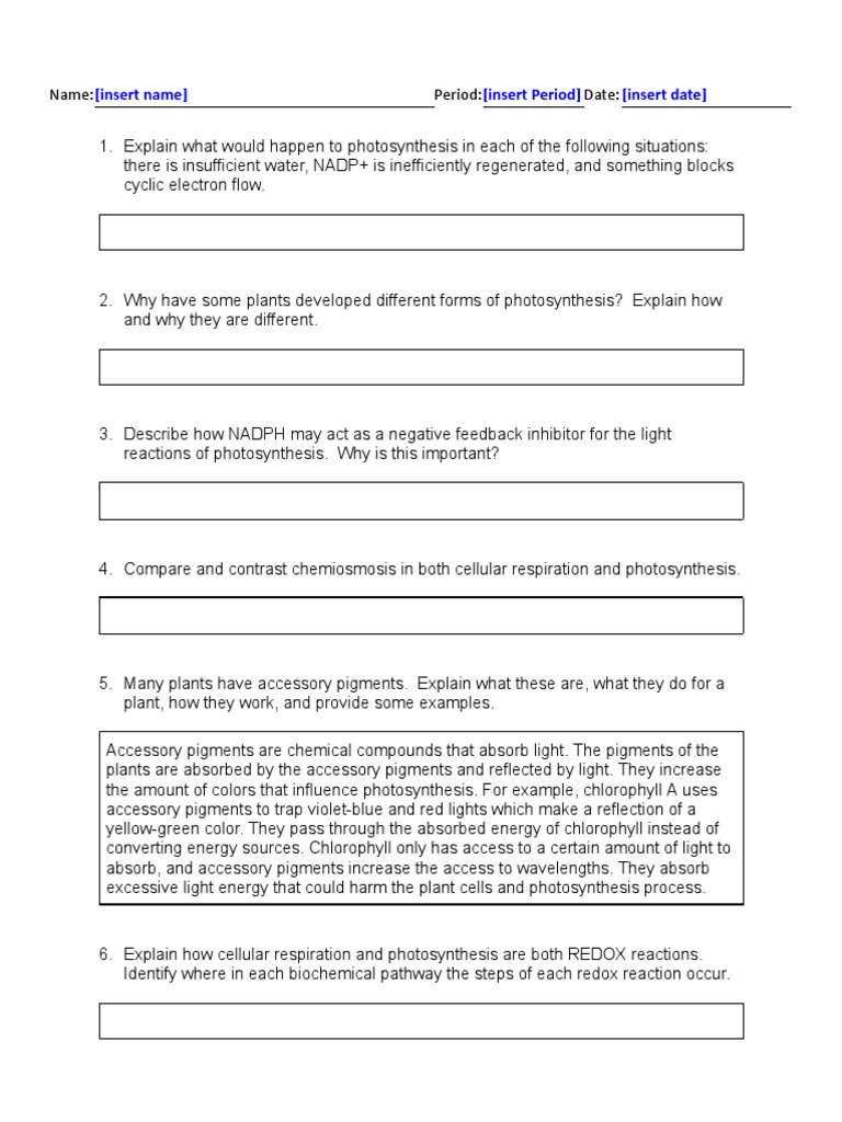 Cell energy review questions PDF Photosynthesis Cellular Respiration
