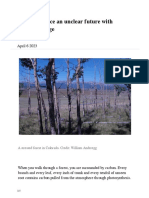 2023 04 Forests Unclear Future Climate PDF