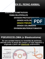 Copia de NEMATODOS II PDF