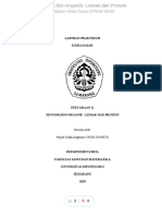 Senyawa Bio Organik Lemak Dan Protein - Compress PDF