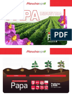 PFI Papa Industria Colombia - Compressed