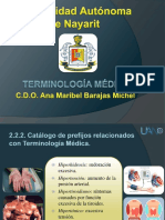 Diapositivas Terminologia F PDF