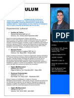 CV Jorge ALberto Lara Campos