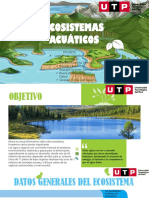 Ecosistema Acuatico. PDF