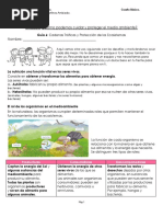 Guia 6 Ciencias Cuarto Basico