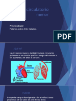 Sistema Circulatorio Menor PDF