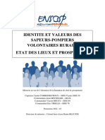 Identit Et Valeurs Des SPV Ruraux 1682944832 PDF