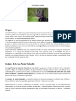 Pastor Holandes PDF