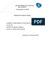 Esquema de Desprendimiento Prematuro de Placenta Normoinserta