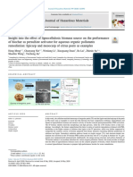 Biochar Production PDF