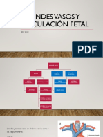 5.2 y 5.3 Grandes Vasos y Circulación Pre y Posnatal 2021 PDF