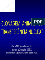 Clonagem Animal Por Transferência Nuclear