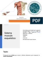 Sistema musculoesqueletico: componentes y funciones