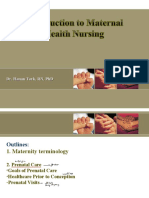 Introduction To Maternity Nursing - PPT? PDF