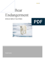 Polar Bears Paper 1