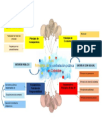 Mapa Conceptual Principios Contratacion Publica