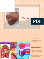 Pericardio Anatomia