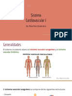 Sistema Cardiovascular