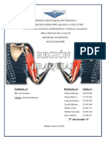 Informe Seminario de Anatomía H.