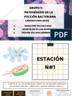 Semana 4 - Grupo 7