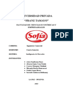 Guia Desarrollo Grupo Focal PDF