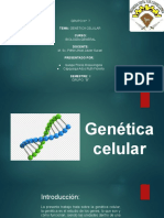 23 - 24 Sesion - Genetica Celular (Grupo 7)