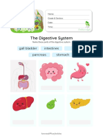 1 Digestive System Easy Labeling Worksheet For Kindergarten Grade 1