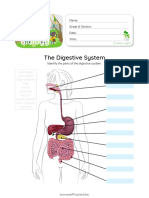 The Digestive System Parts