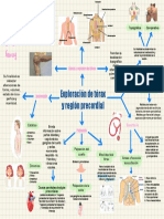 Exploración Precordial