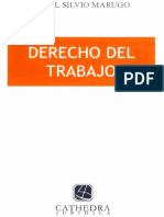 Derecho Del Trabajo - Daniel Silvio Marugo